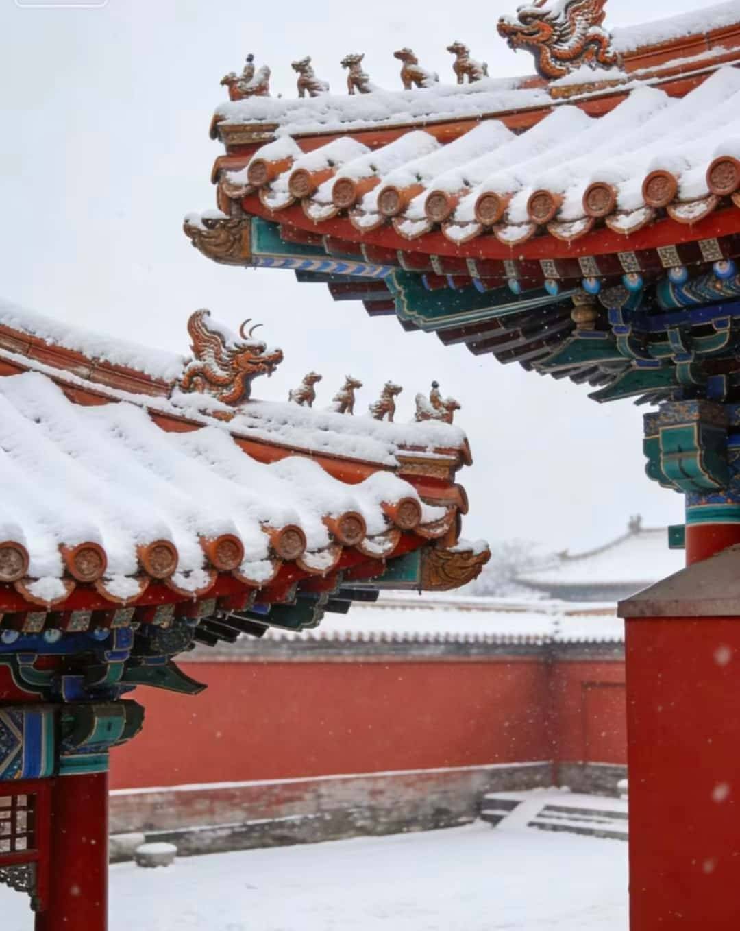 制小包团实测长城星空露营 + 故宫夜赏攻略干货出炉新葡京娱乐